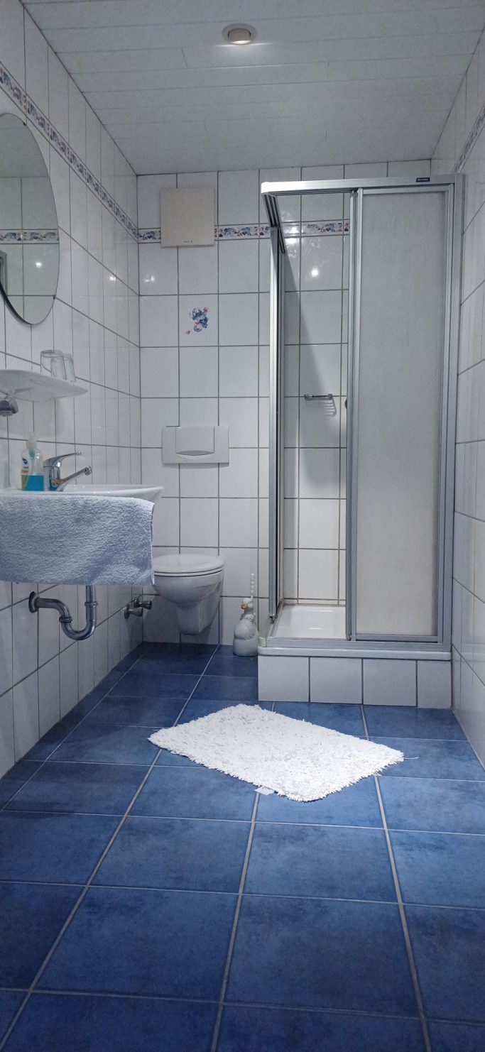 Badezimmer auf der Etage Badezimmer mit Dusche, Waschbecken, WC und blauem Fliesenboden.