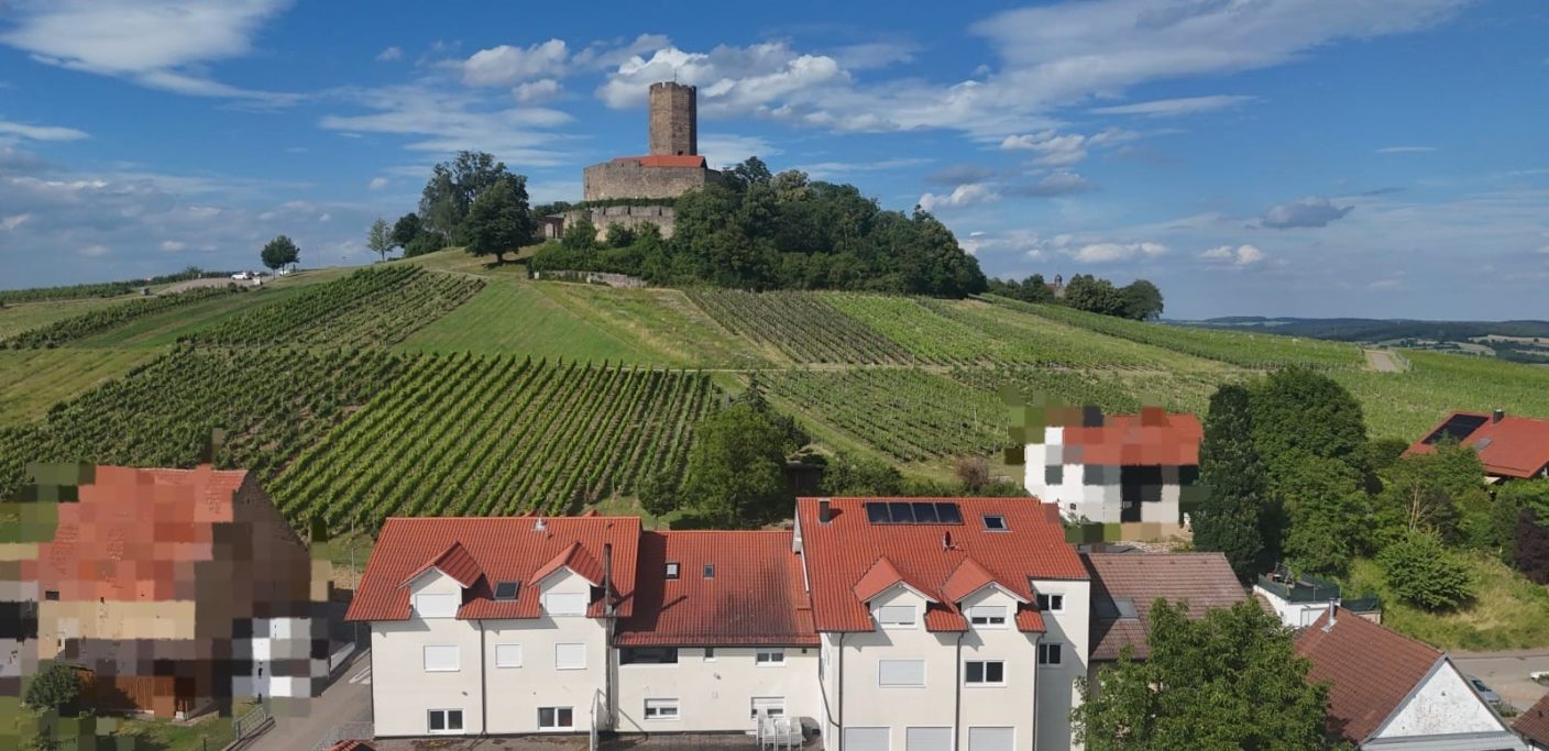 Gästehaus am Weinberg Landschaft mit Weinbergen, einem Dorf und einer Burg auf einem Hügel im Hintergrund.